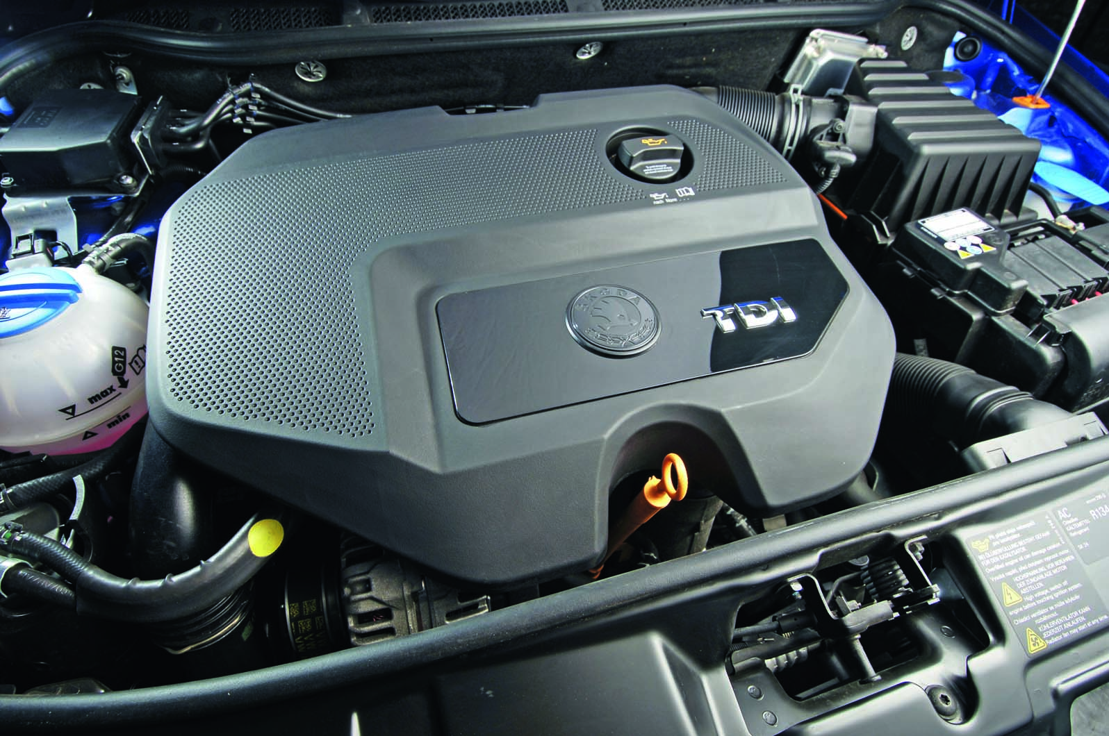 040625200 1226502505