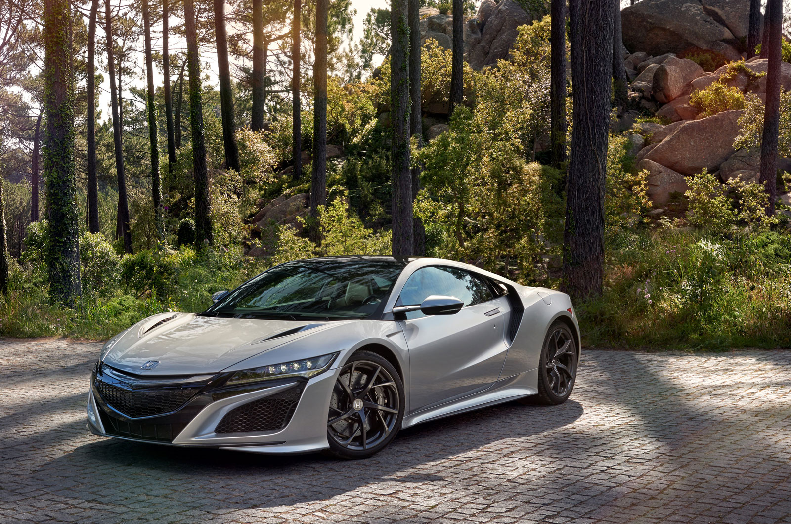 74964 Honda nsx silver metallic
