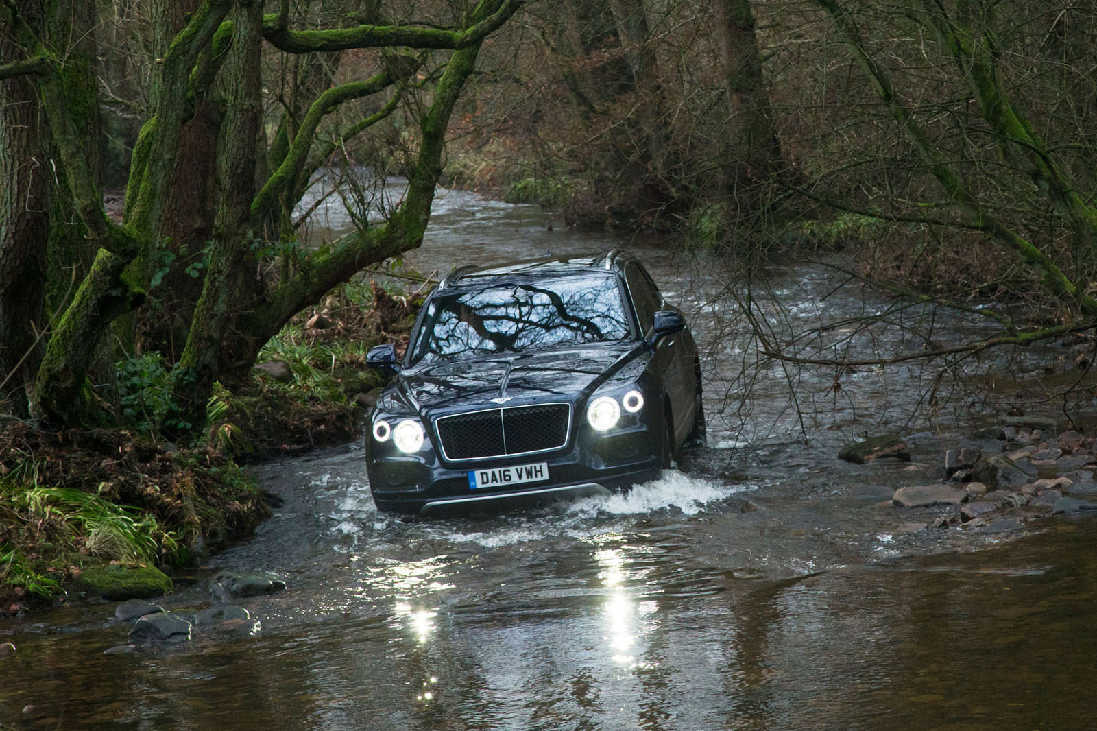 Bentley diesel 1 2207