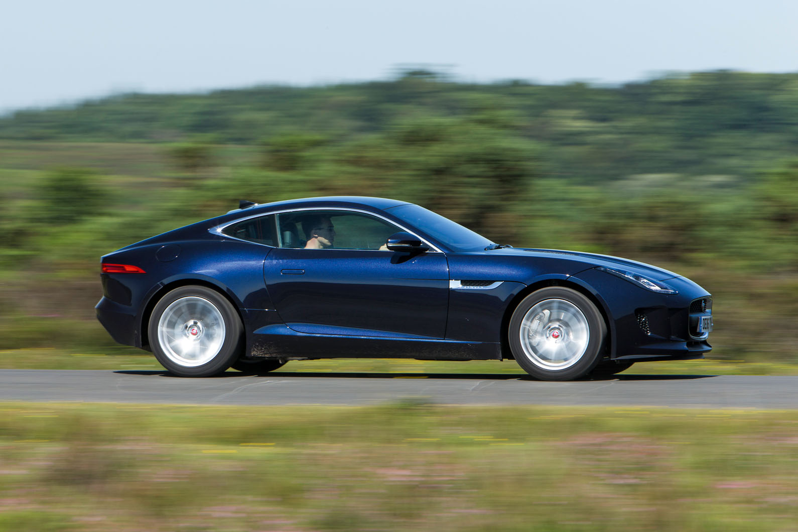 Cayman group tes a 096