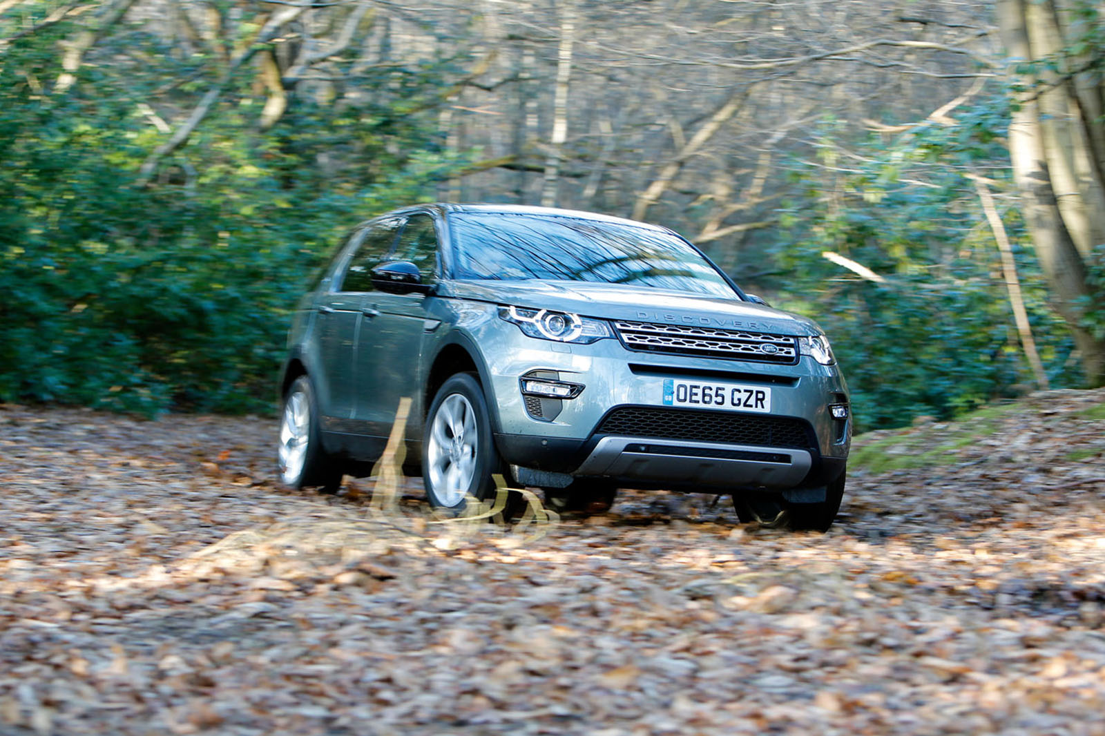 Disco sport goodbye 438