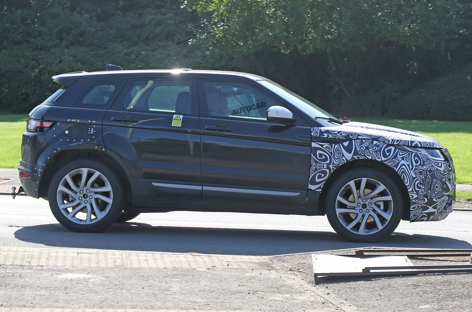 Evoquehybridmule