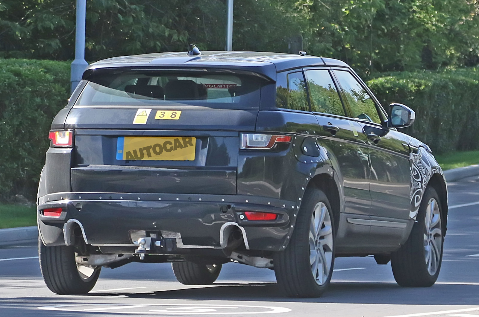 Evoquehybridmule