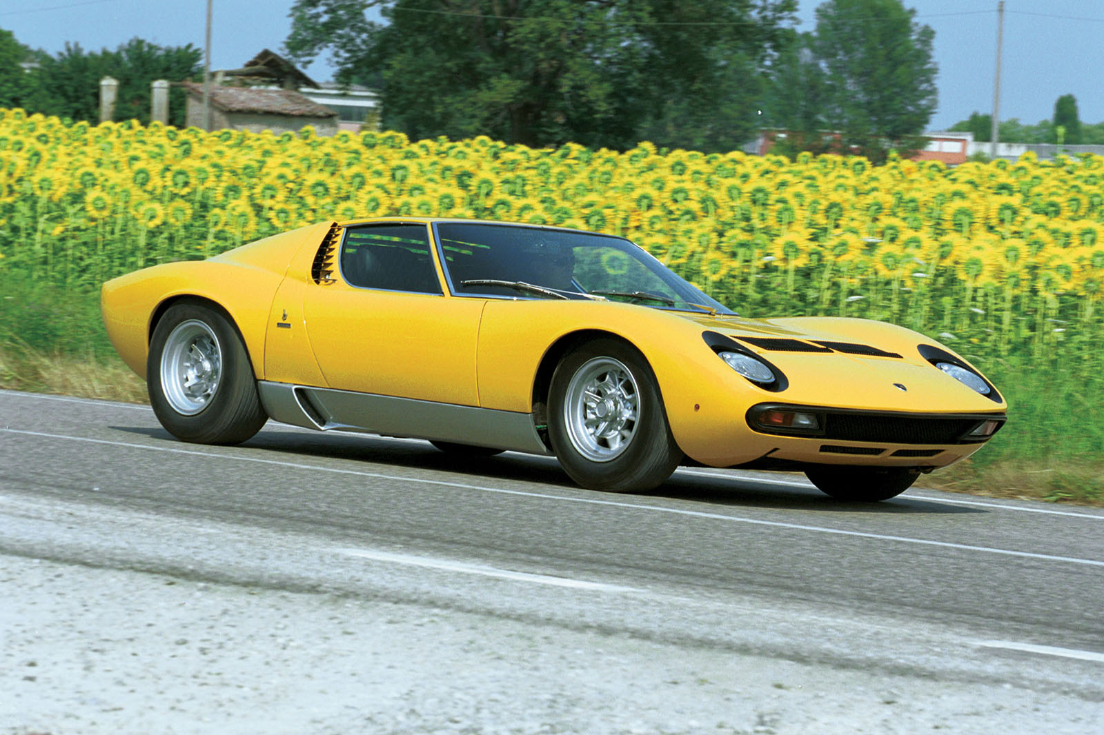 Lambo muira 39 0