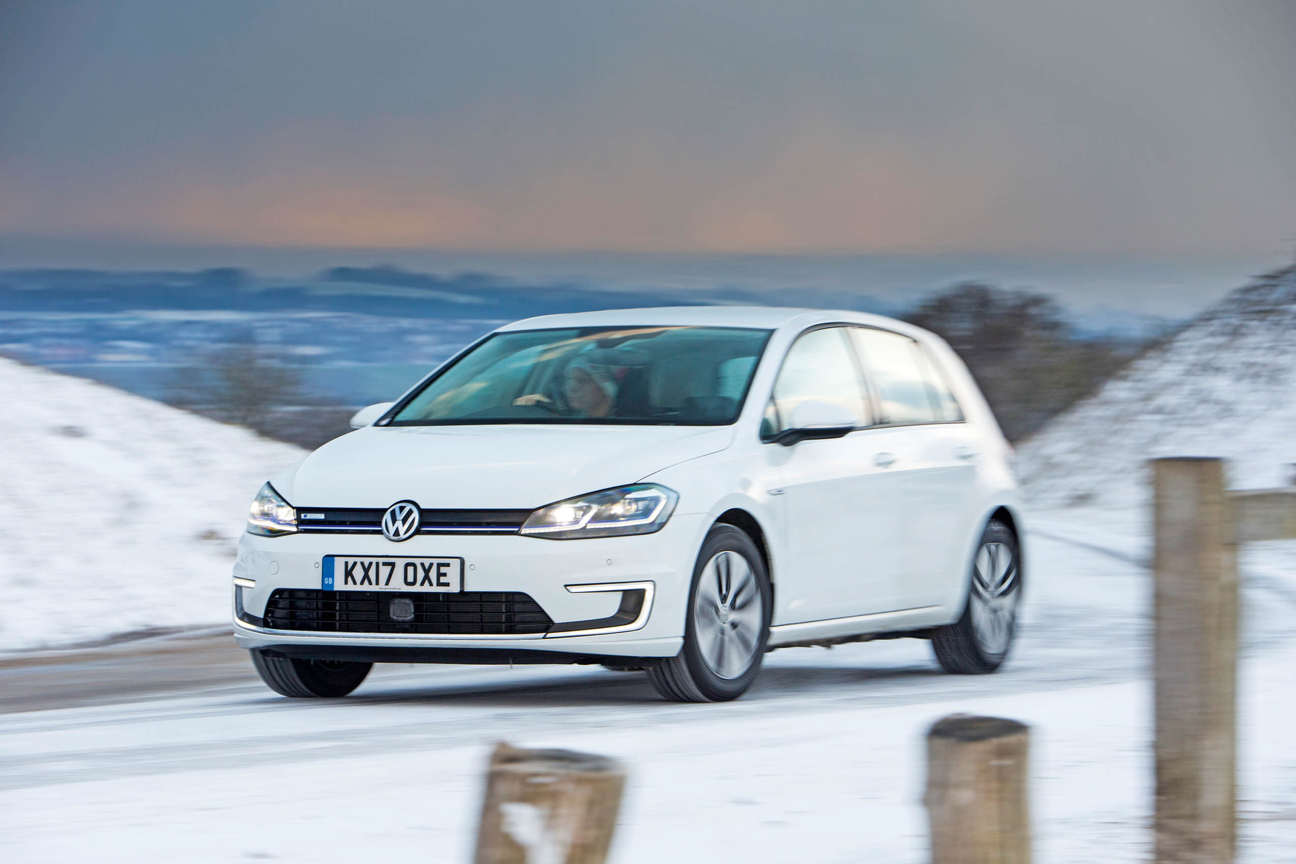 Leaf groupp test 4287