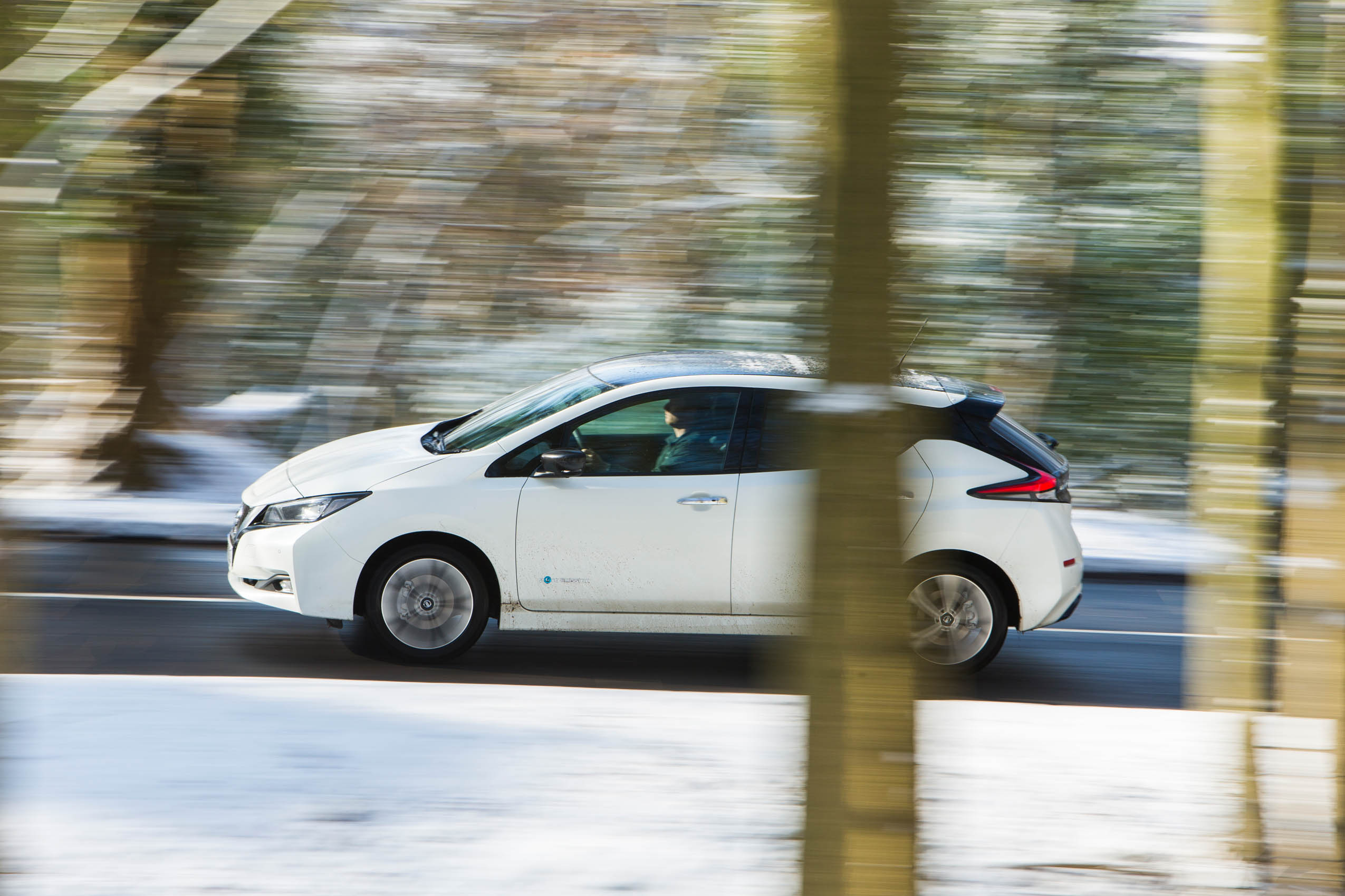 Leaf groupp test 4303