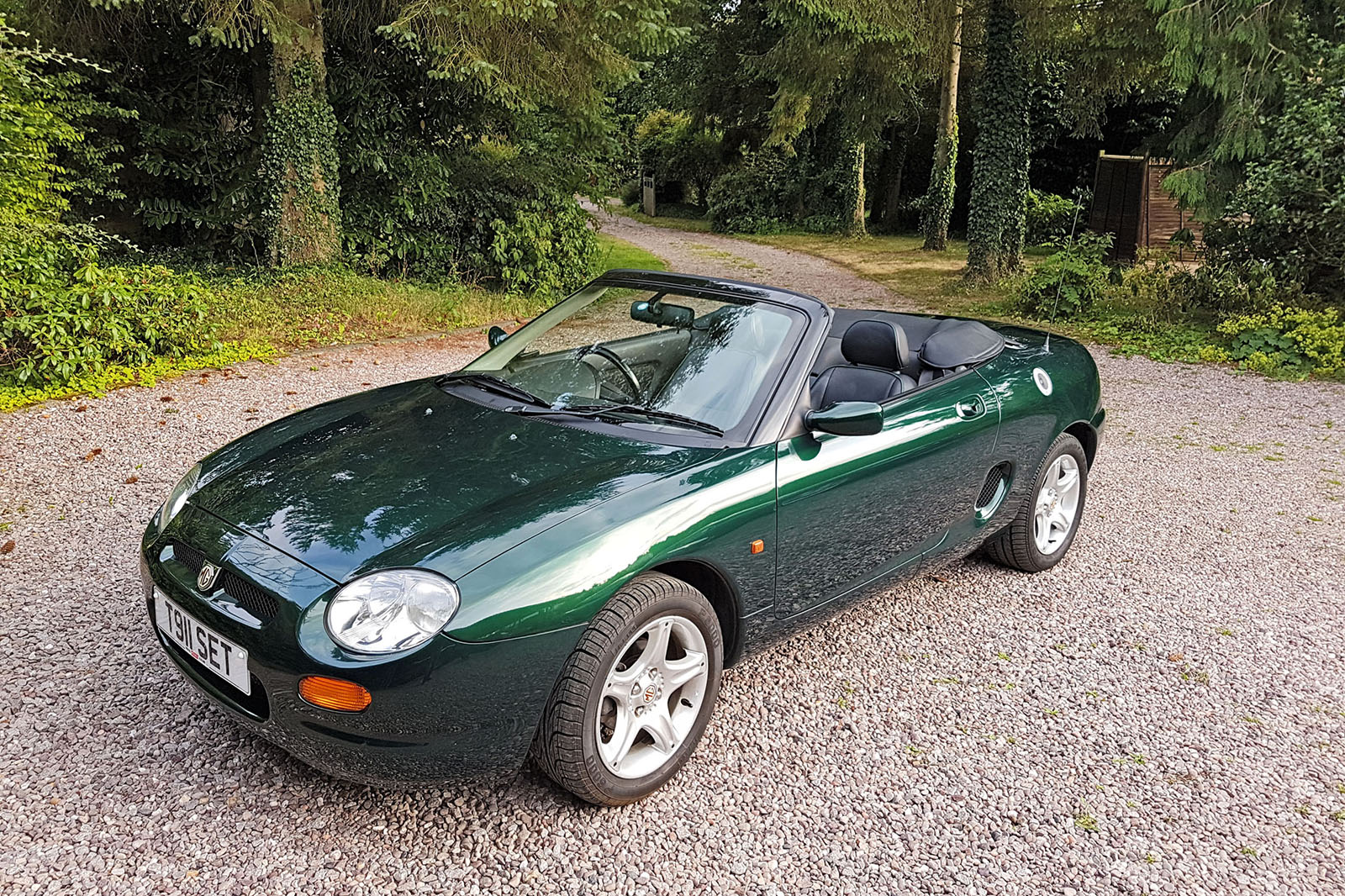 Our cars 2016 2574 2