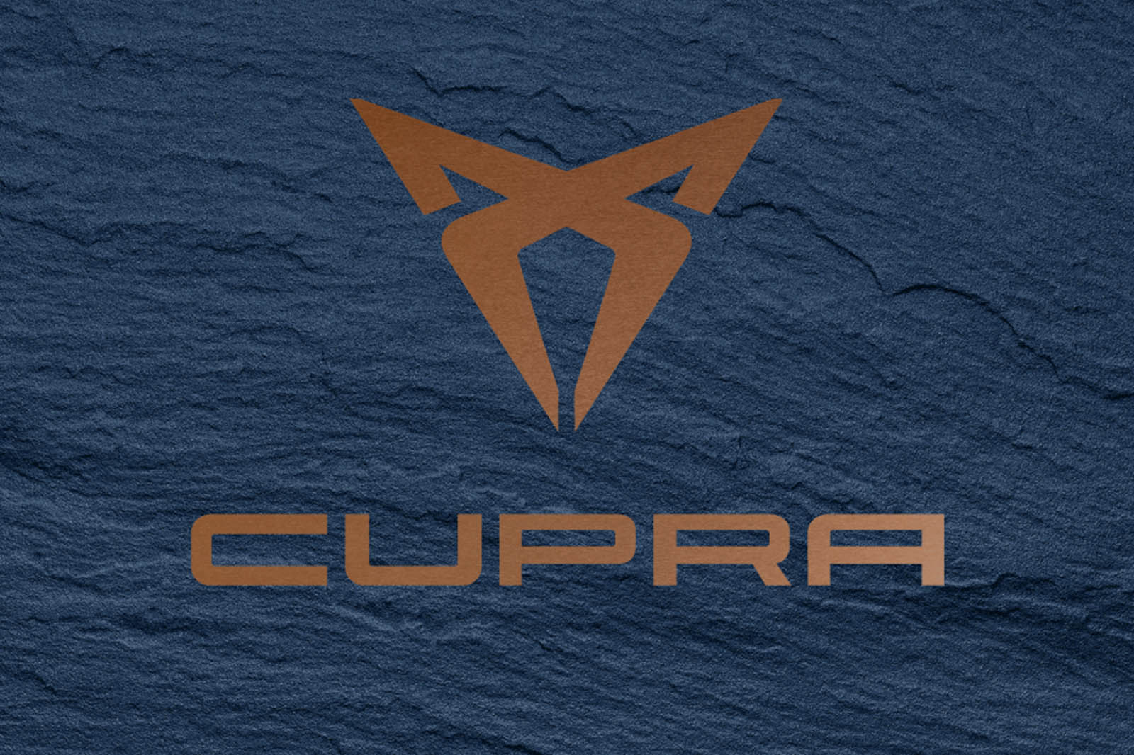 Seat cupra 3231