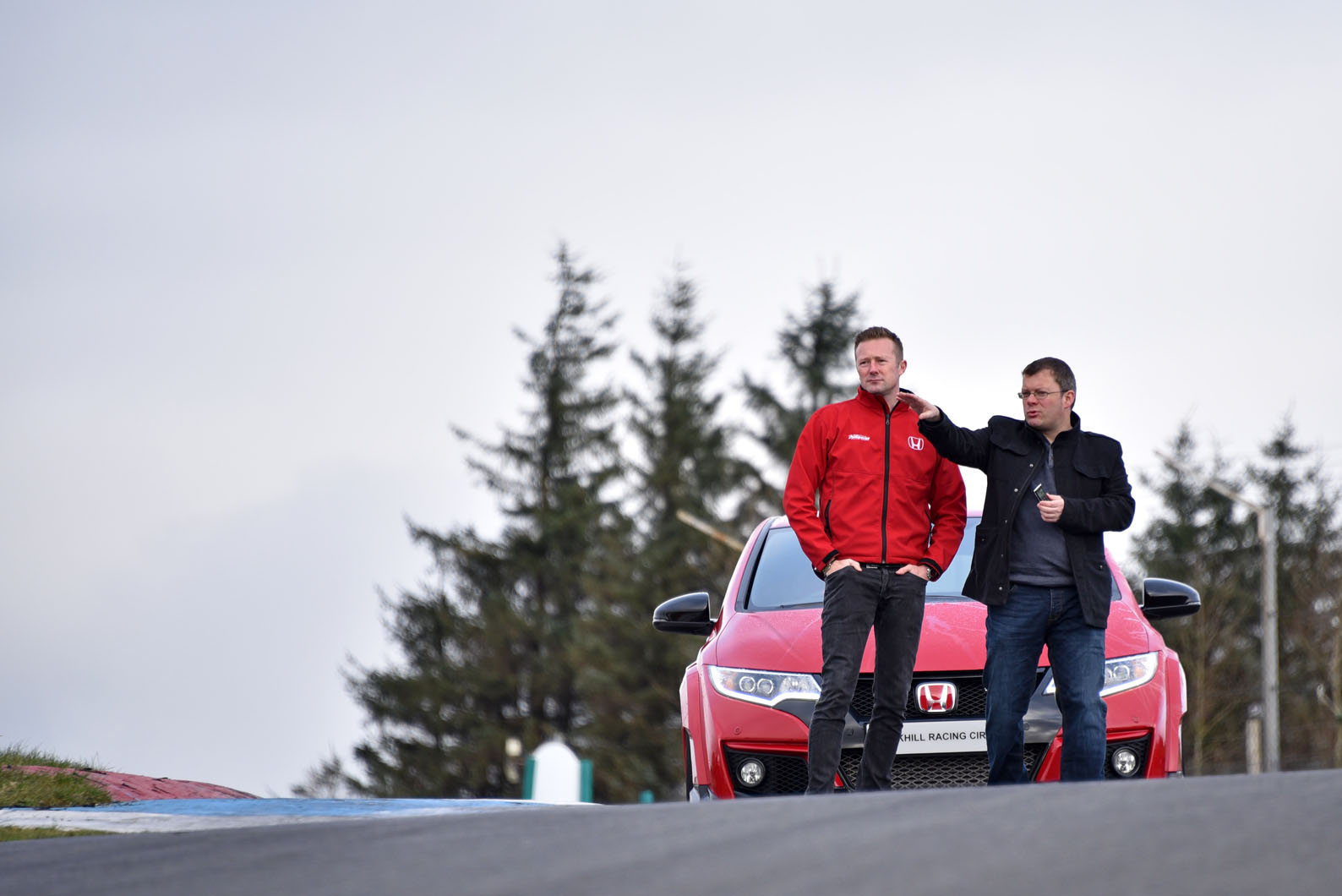 Sheddon web 2016 501