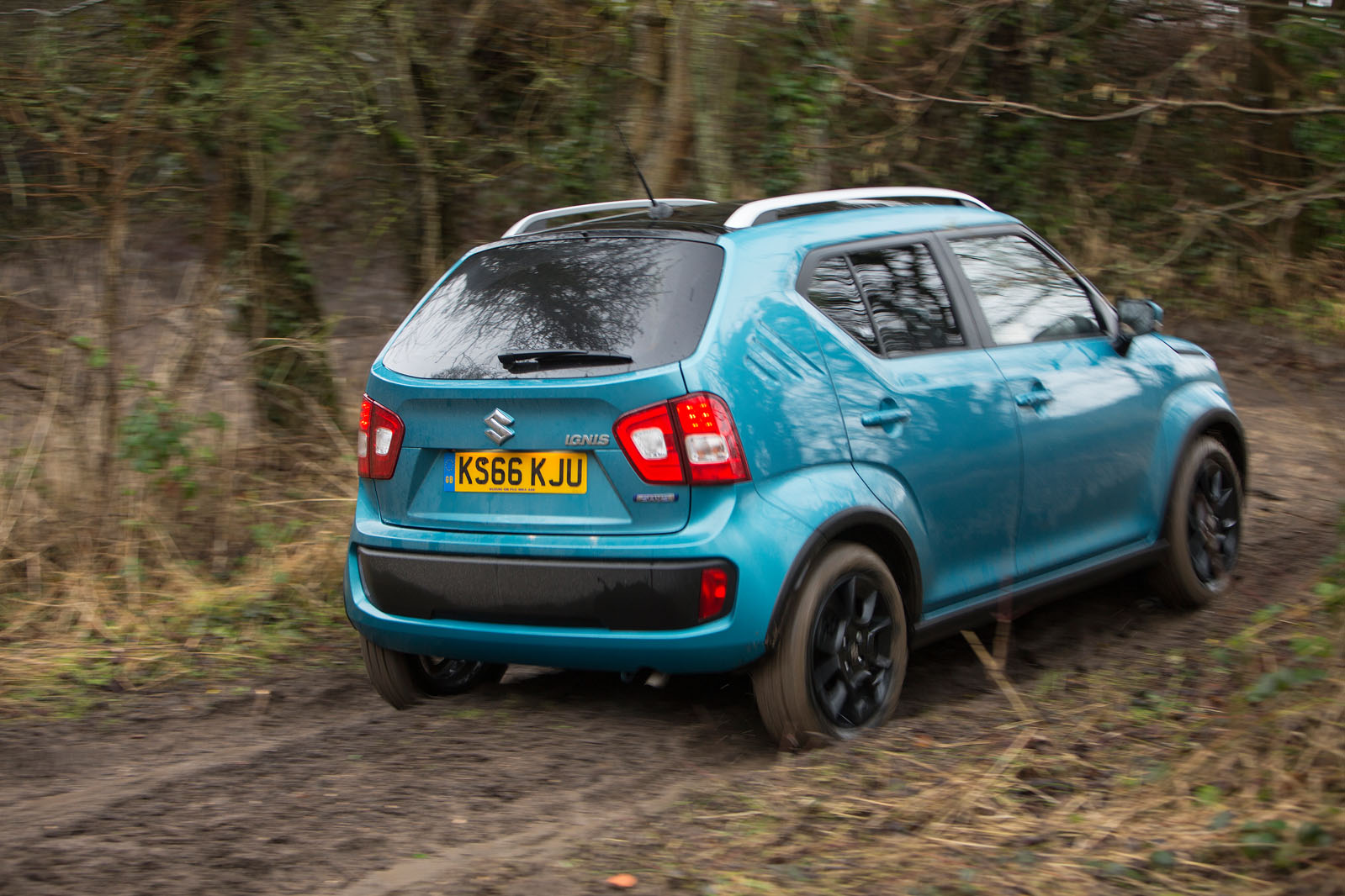 Suzuki ignis greenlaning 0913