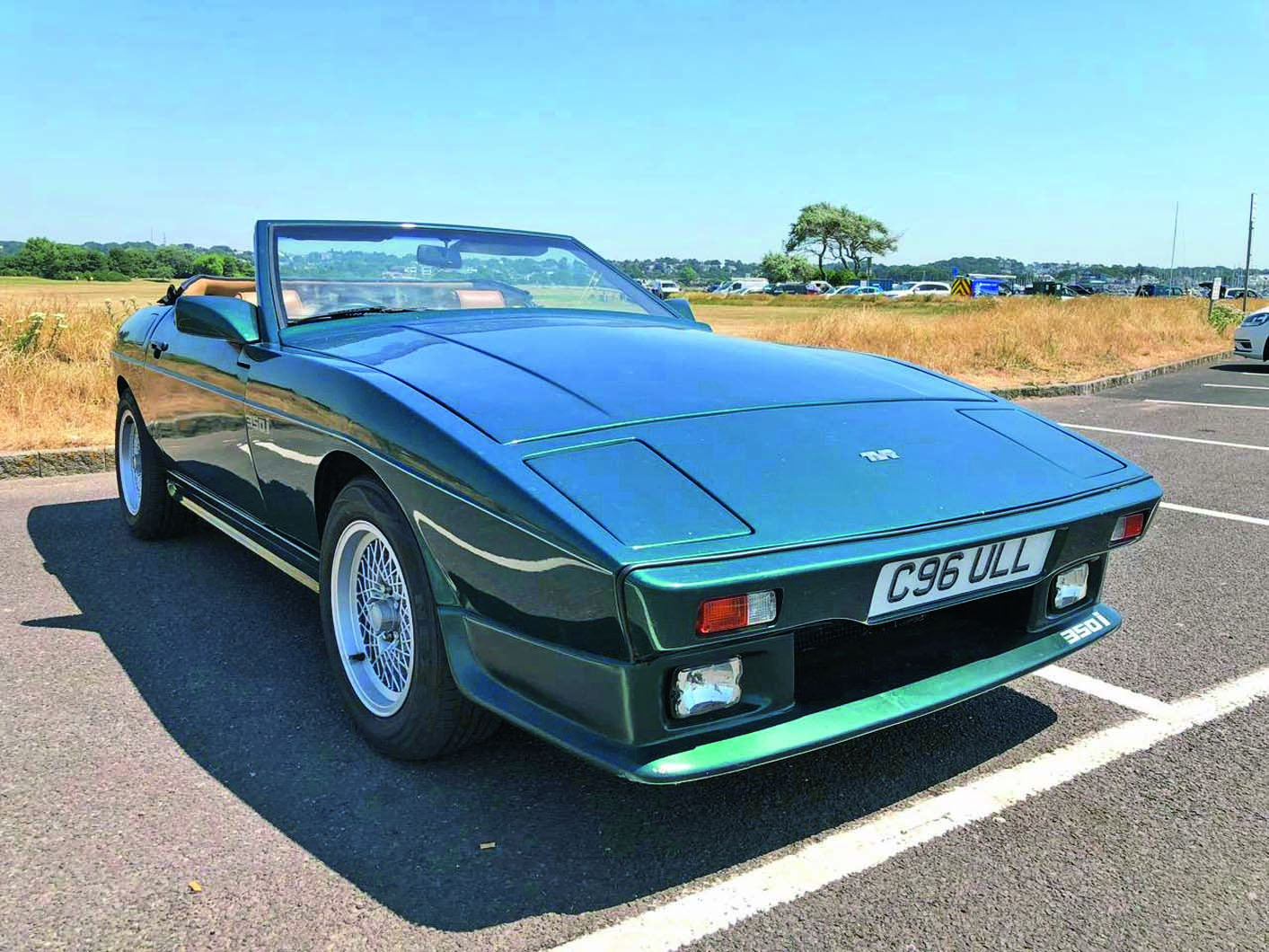 Tvr wedges s3515020 1