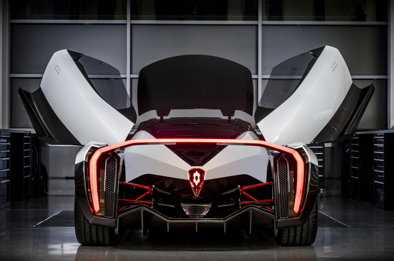 Vanda dendrobium 006