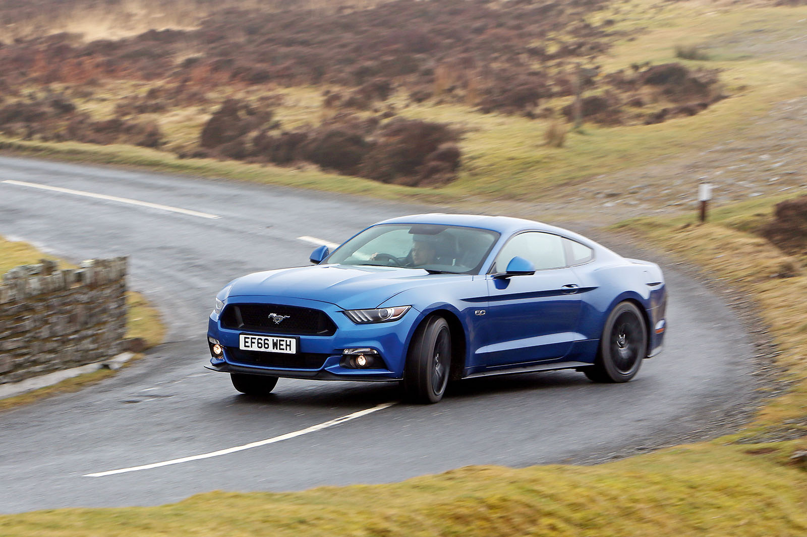 Ved tesst a geneva 331