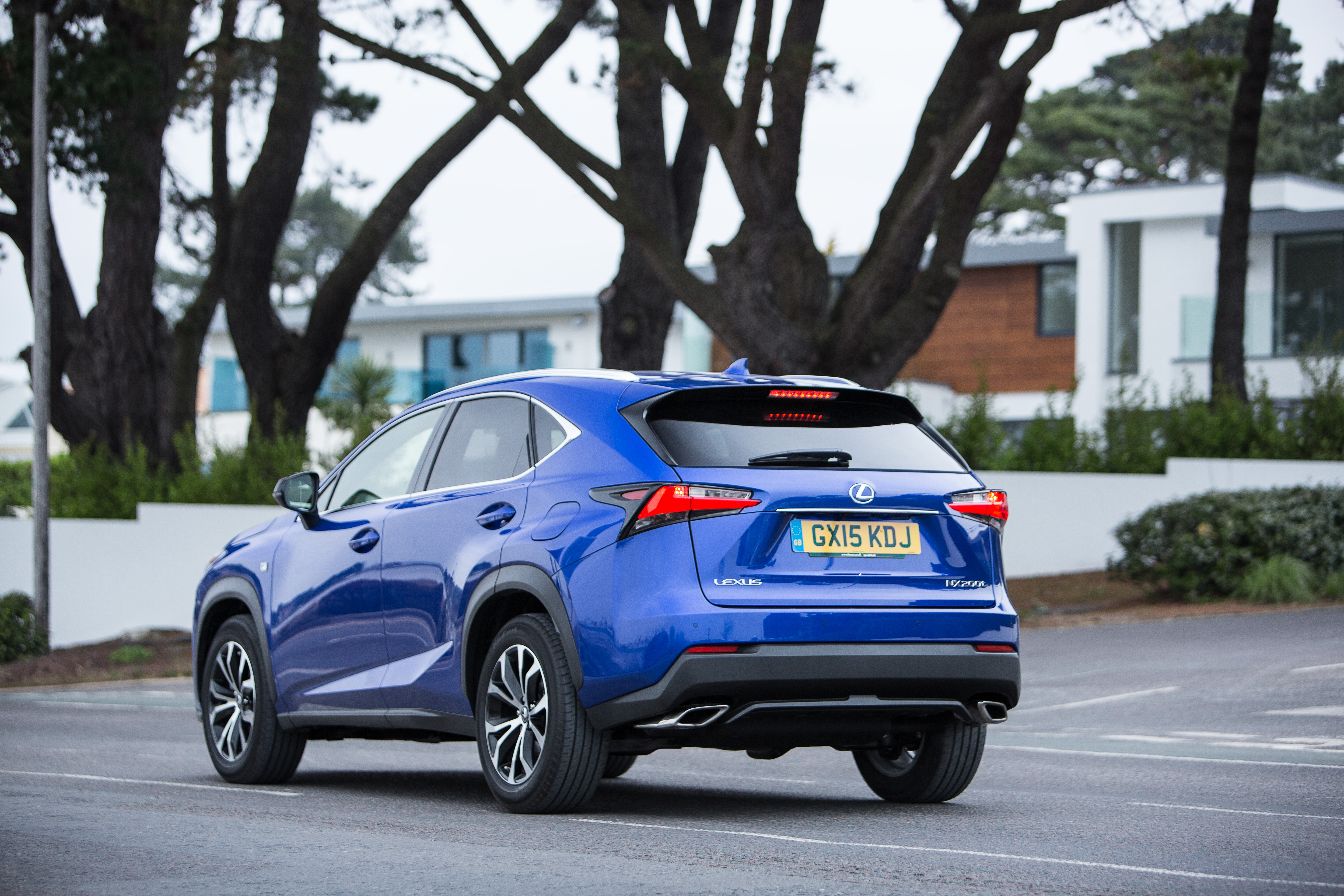 Lexus NX rear