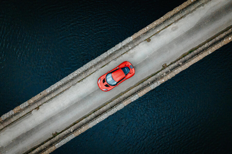 96 Lotus evora birds eye