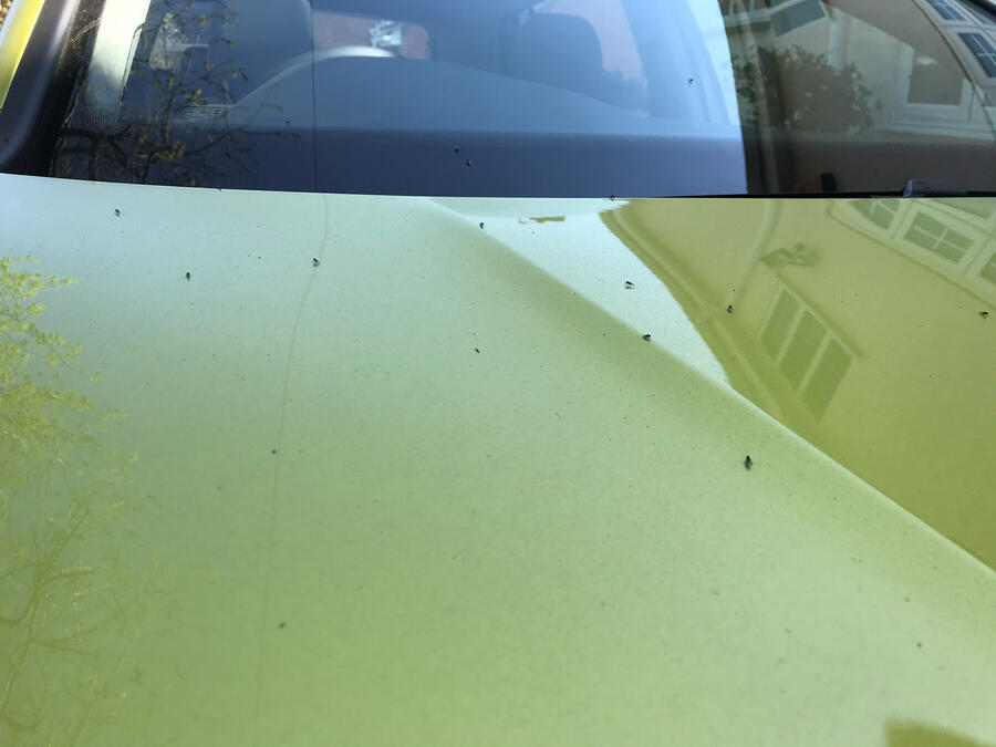 Vw golf 8 long term review 16 june