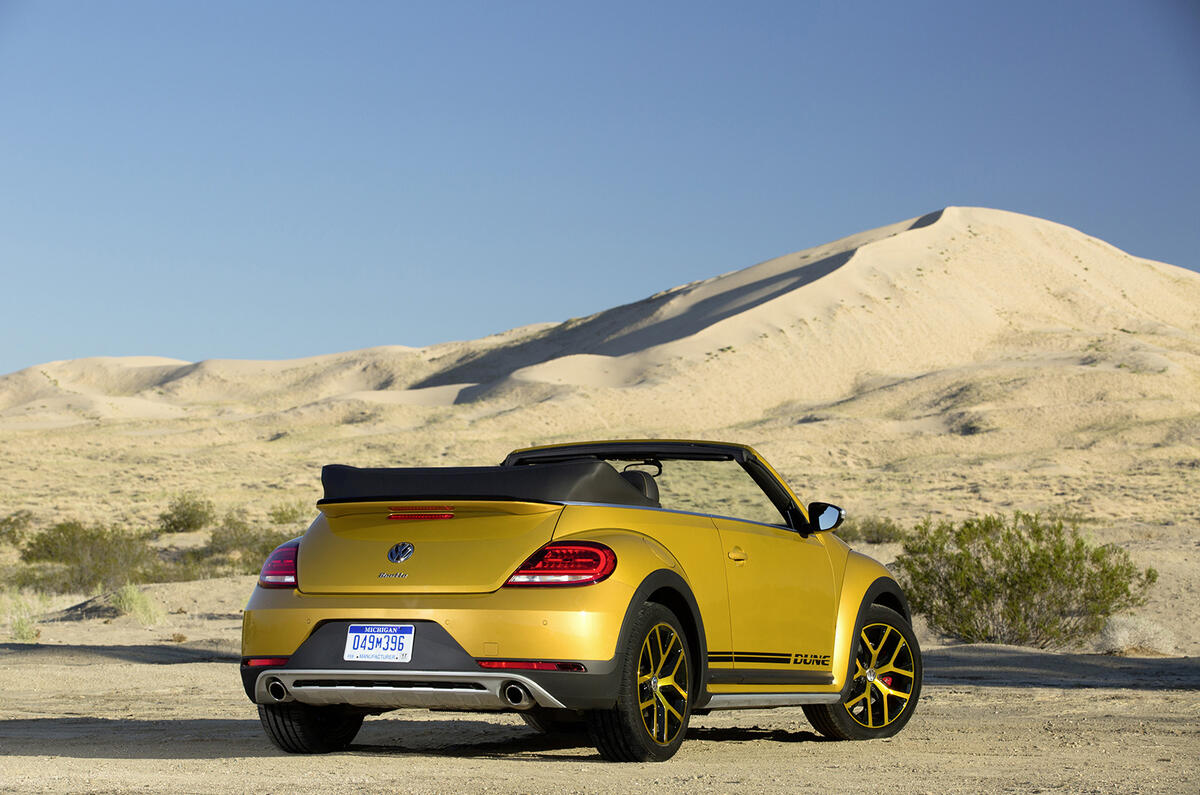 Beetle dune weba 0070